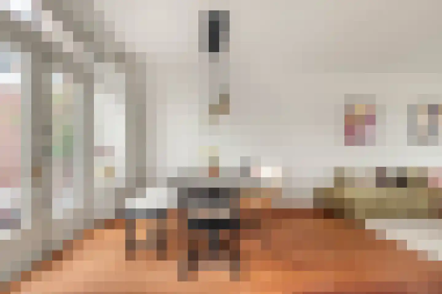 Heilooërdijk 15 Alkmaar thumbnail 18