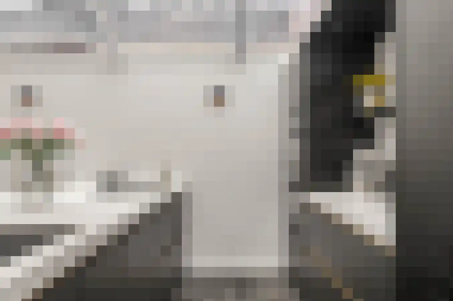 Heilooërdijk 15 Alkmaar thumbnail 21
