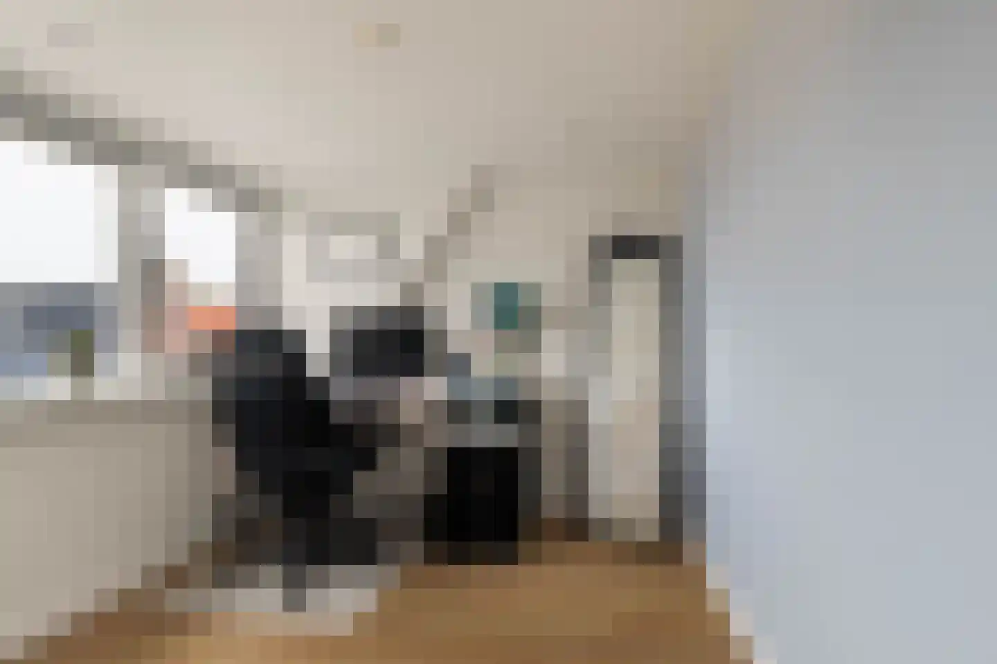 Heilooërdijk 15 Alkmaar thumbnail 38
