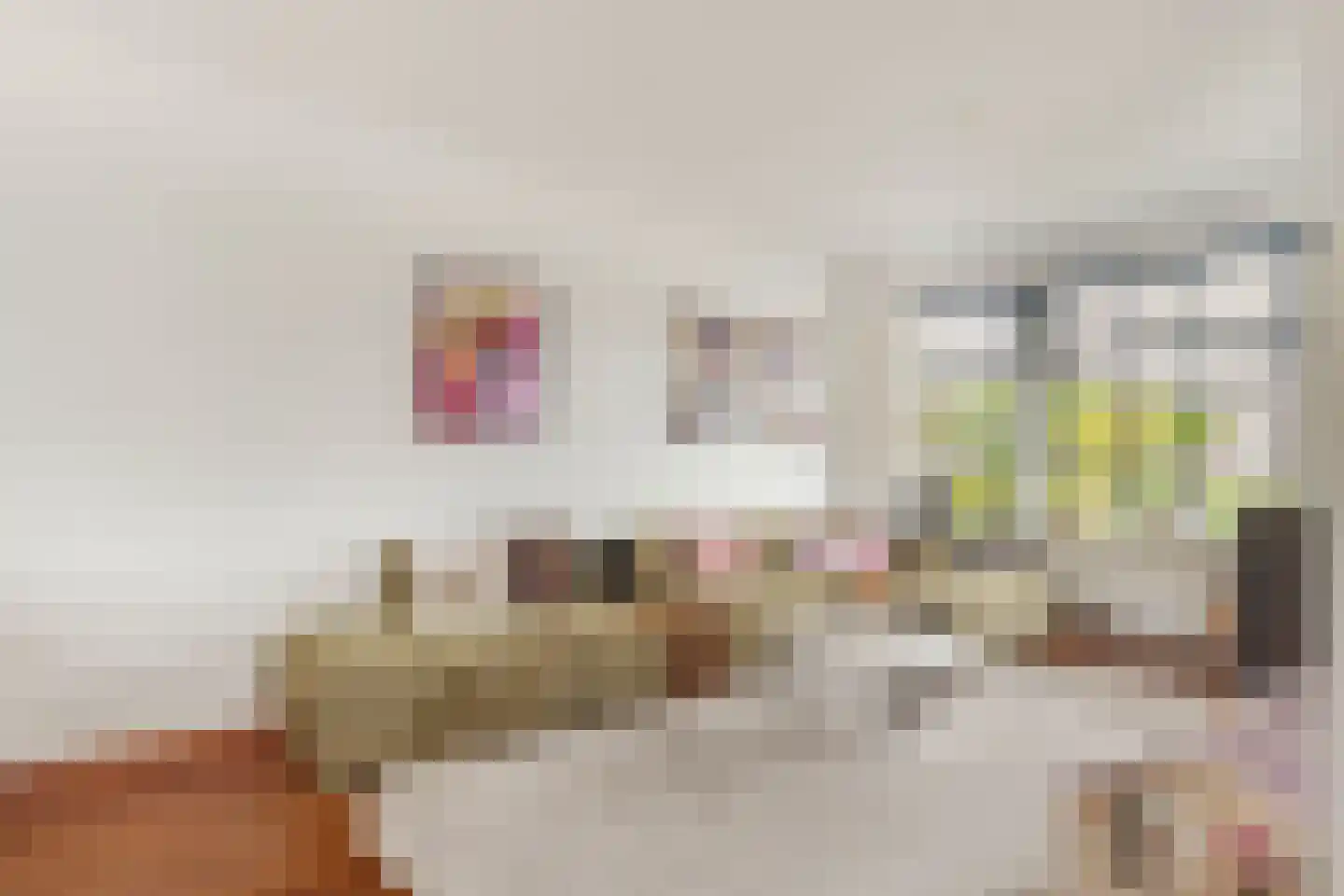 Heilooërdijk 15 Alkmaar thumbnail 8