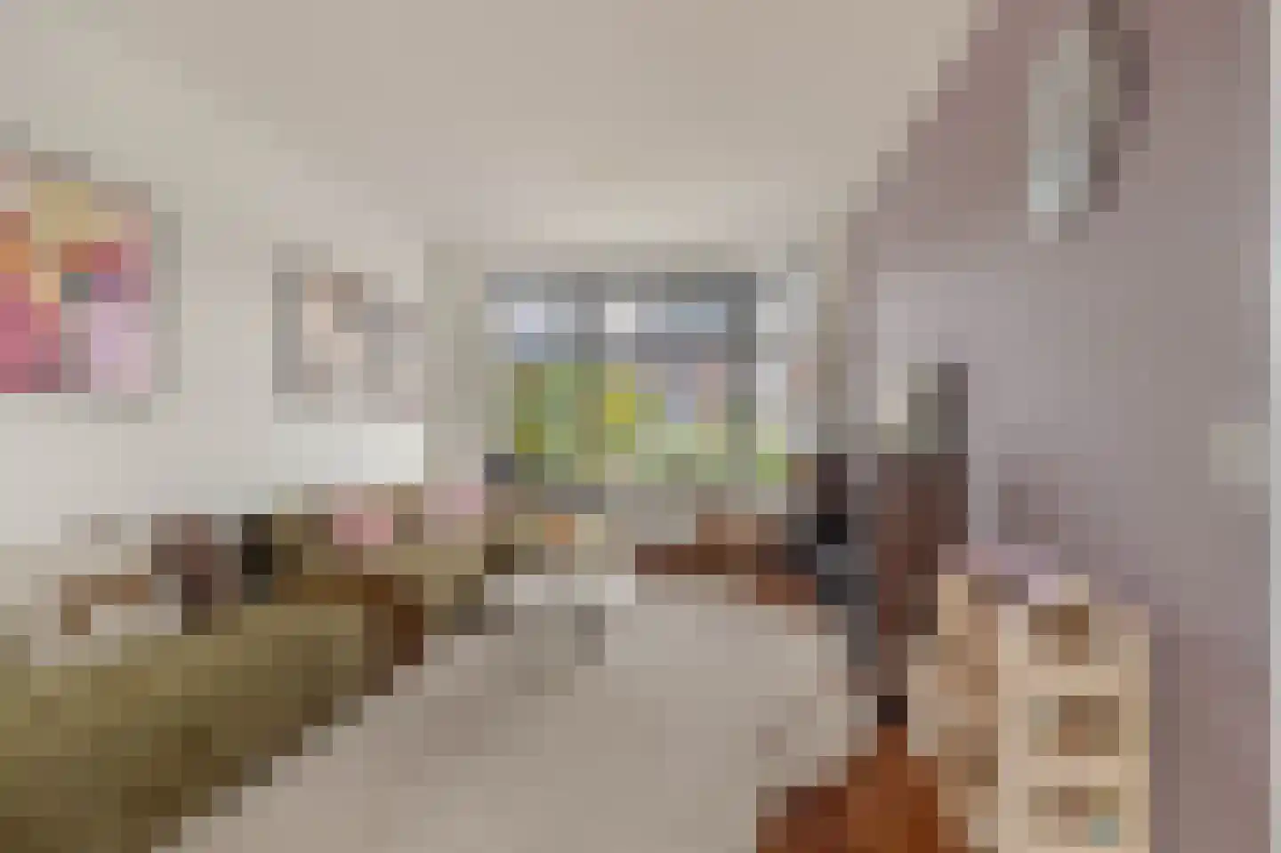 Heilooërdijk 15 Alkmaar thumbnail 9