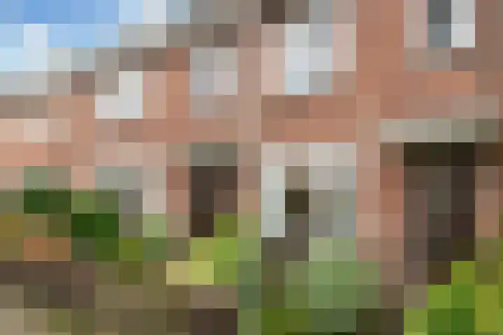 Heilooërdijk 16 Alkmaar thumbnail 7