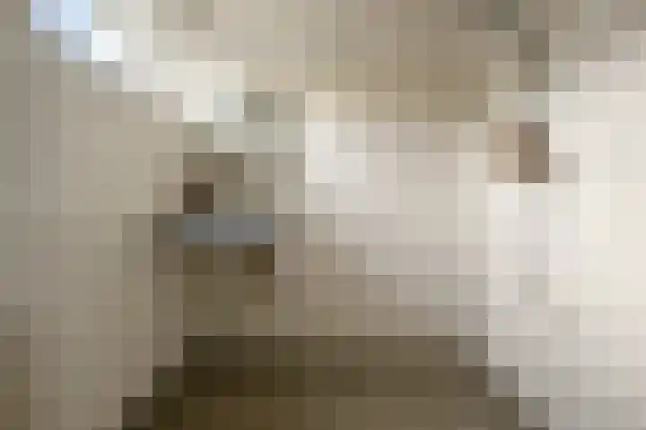 Heilooërdijk 43 Alkmaar thumbnail 20