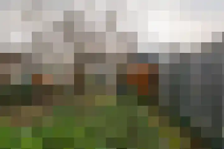Heilooërdijk 43 Alkmaar thumbnail 23
