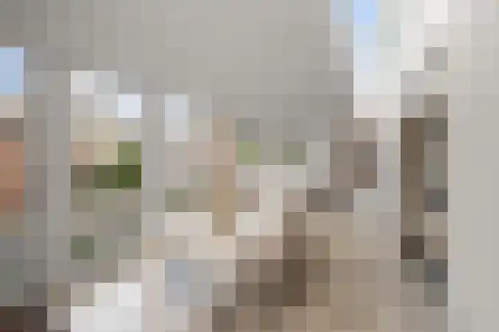 Heilooërdijk 43 Alkmaar thumbnail 9