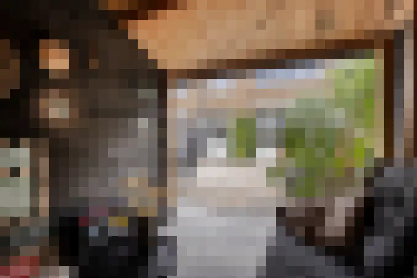 Heilooërdijk 51 Alkmaar thumbnail 17