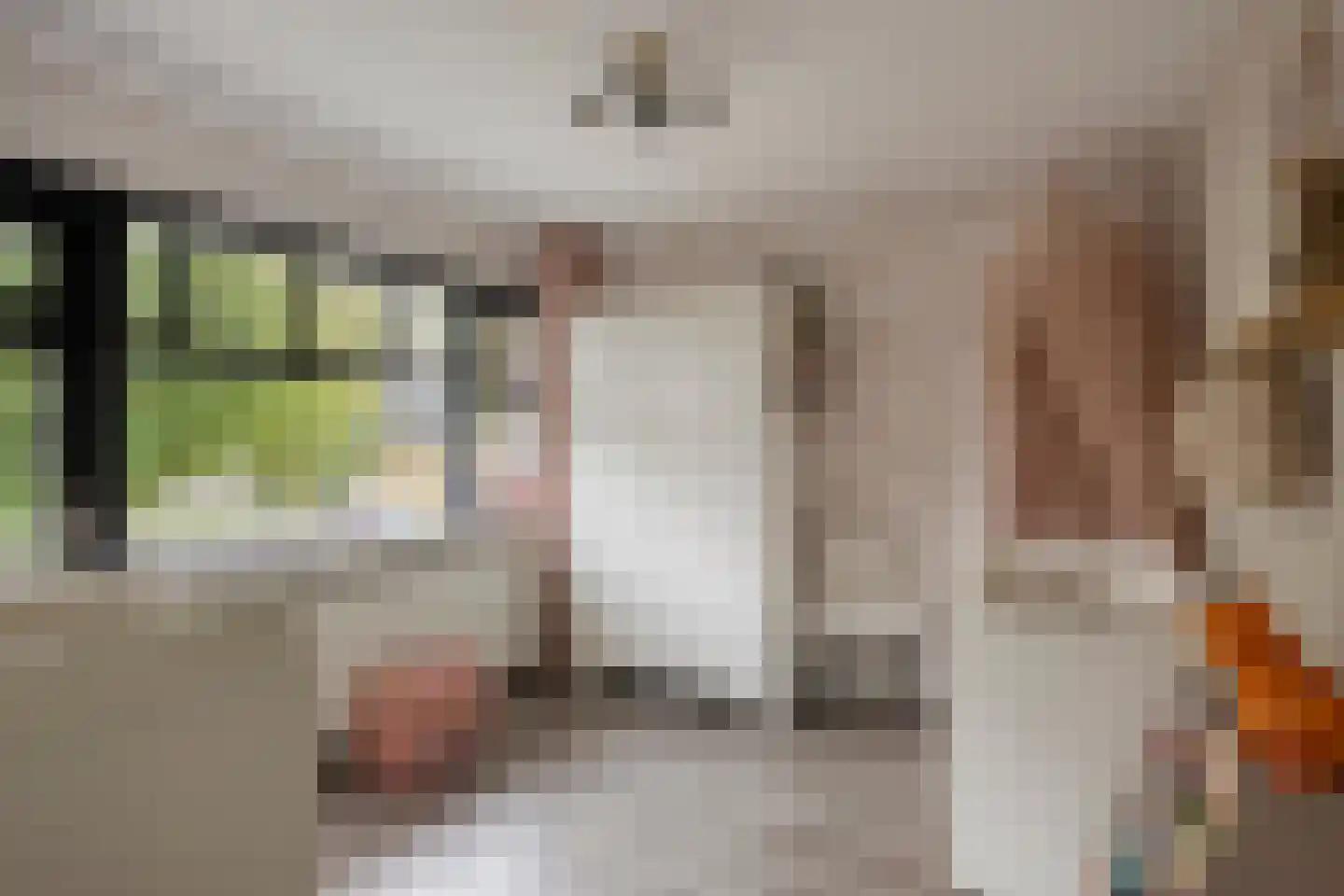 Heilooërdijk 51 Alkmaar thumbnail 20