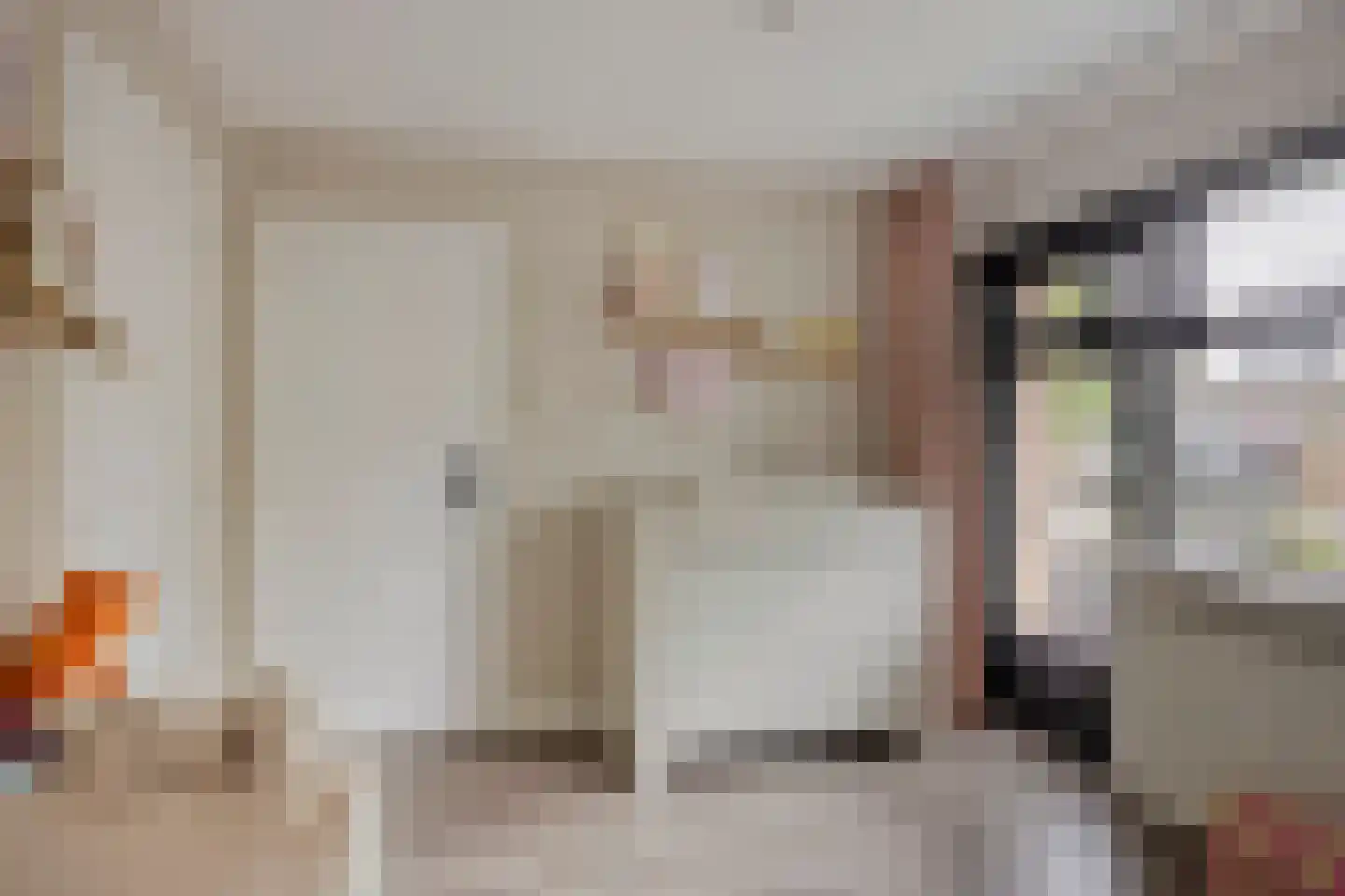 Heilooërdijk 51 Alkmaar thumbnail 21