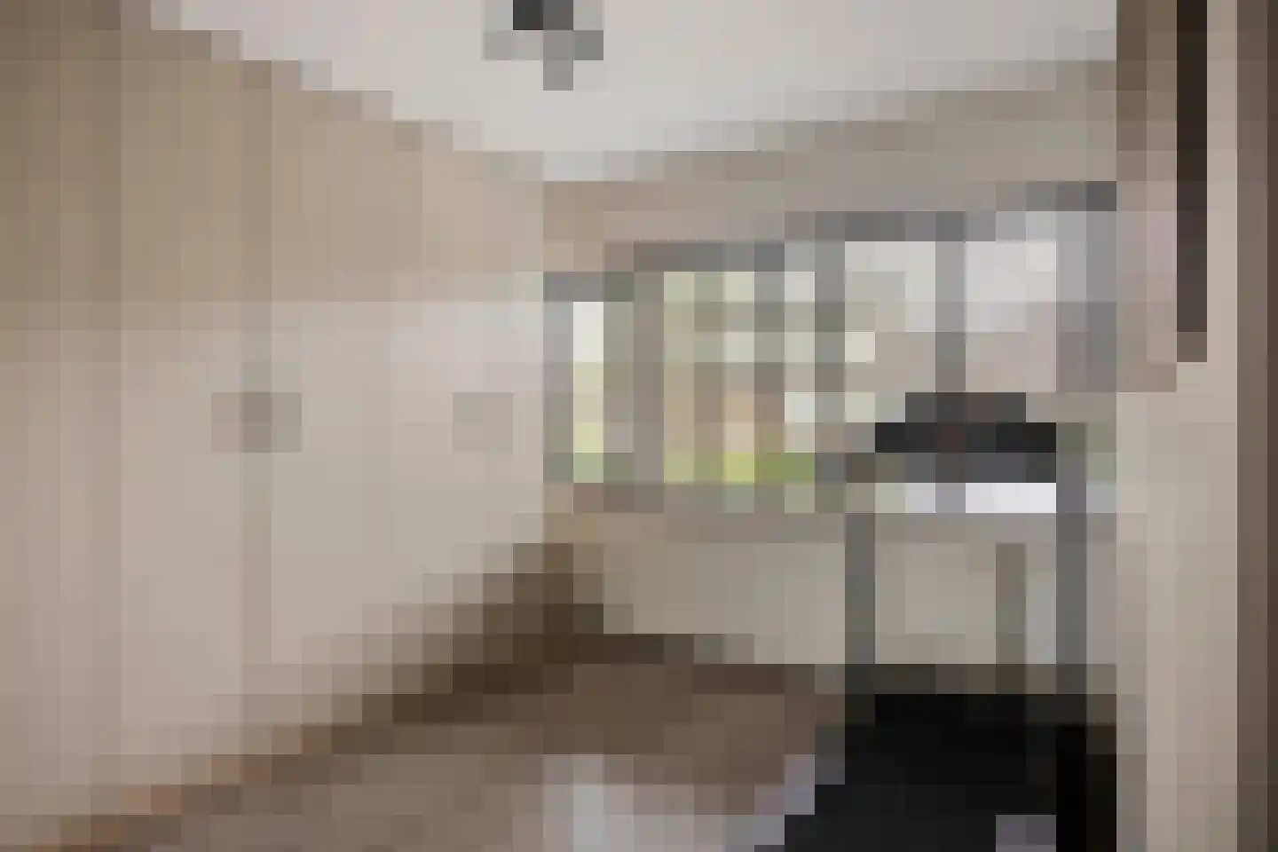 Heilooërdijk 51 Alkmaar thumbnail 23