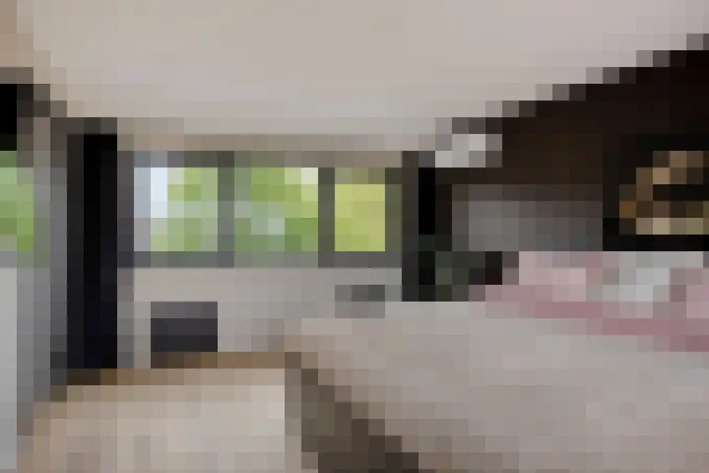 Heilooërdijk 51 Alkmaar thumbnail 27