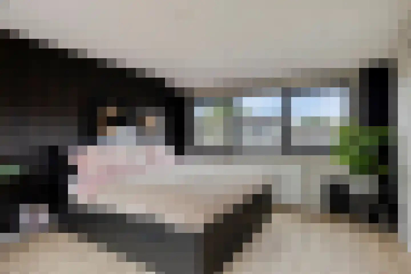 Heilooërdijk 51 Alkmaar thumbnail 28