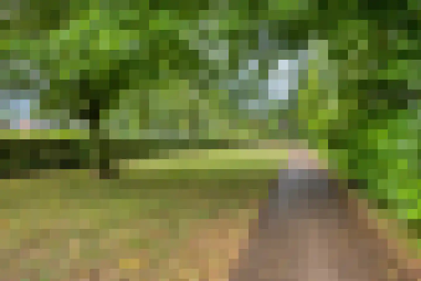 Heilooërdijk 51 Alkmaar thumbnail 34