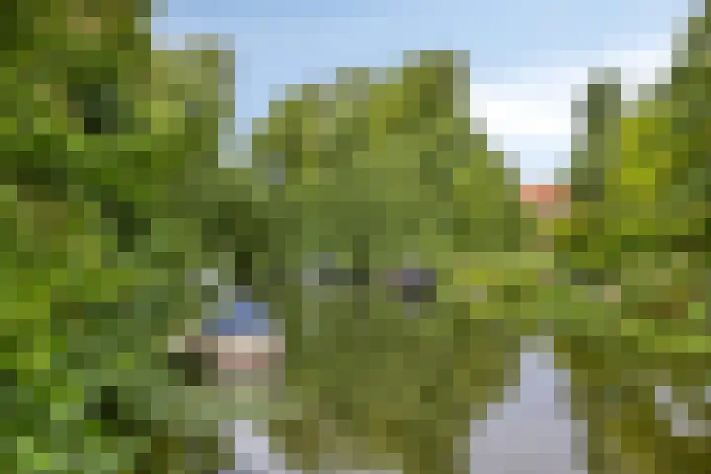 Heilooërdijk 51 Alkmaar thumbnail 35