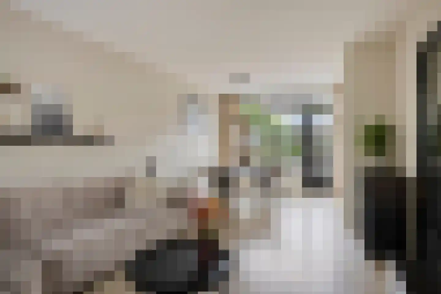 Heilooërdijk 51 Alkmaar thumbnail 9