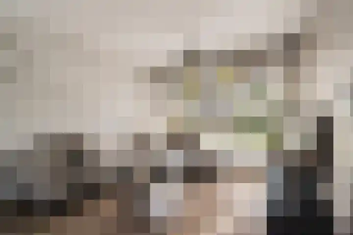 Heilooërdijk 53 Alkmaar thumbnail 10