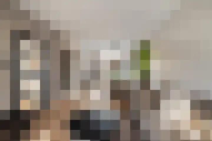 Heilooërdijk 53 Alkmaar thumbnail 12