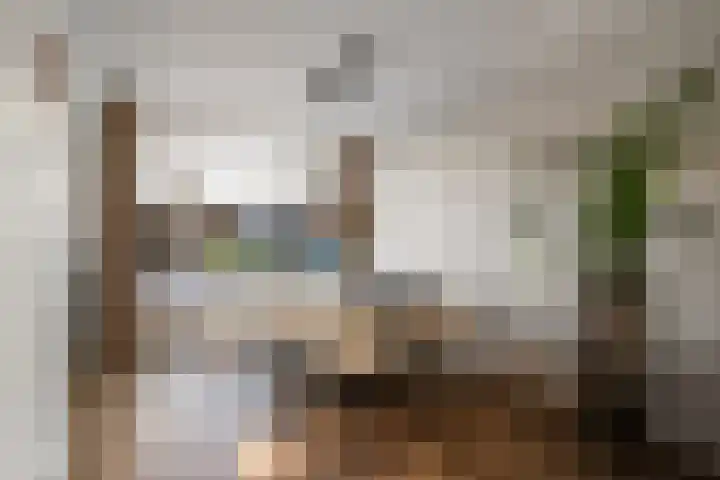 Heilooërdijk 53 Alkmaar thumbnail 13