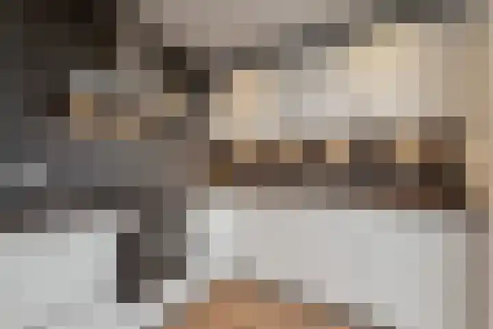 Heilooërdijk 53 Alkmaar thumbnail 16