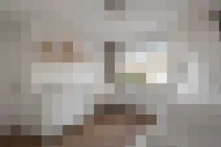 Heilooërdijk 53 Alkmaar thumbnail 20