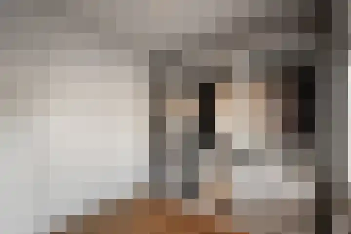 Heilooërdijk 53 Alkmaar thumbnail 22
