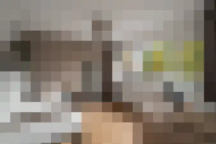 Heilooërdijk 53 Alkmaar thumbnail 24