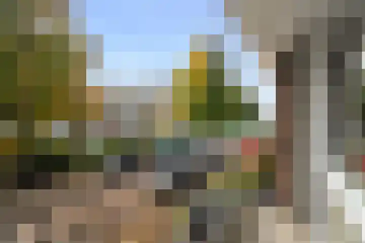 Heilooërdijk 53 Alkmaar thumbnail 25