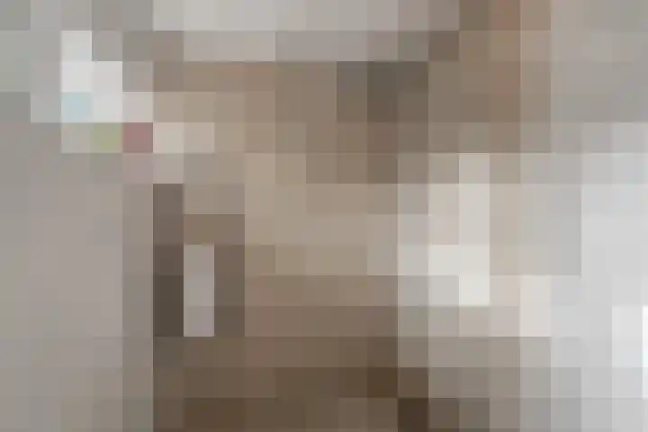 Heilooërdijk 53 Alkmaar thumbnail 27