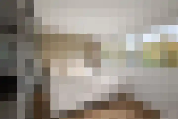 Heilooërdijk 53 Alkmaar thumbnail 29