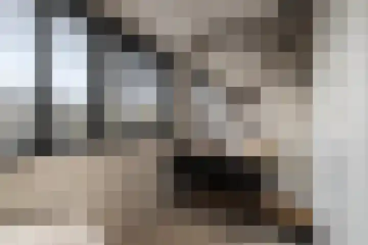 Heilooërdijk 53 Alkmaar thumbnail 31