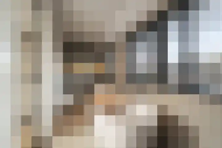 Heilooërdijk 53 Alkmaar thumbnail 32