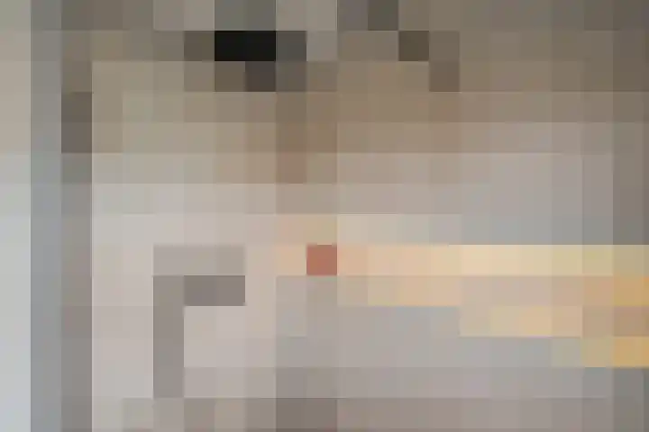 Heilooërdijk 53 Alkmaar thumbnail 33