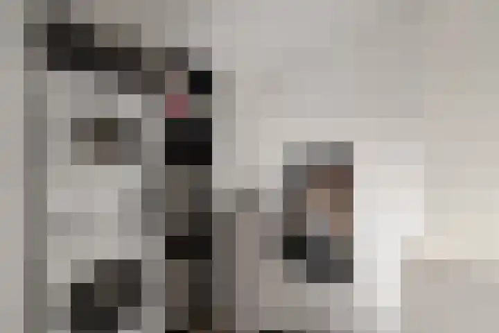 Heilooërdijk 53 Alkmaar thumbnail 34