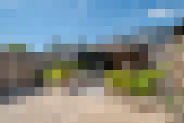 Heilooërdijk 53 Alkmaar thumbnail 35