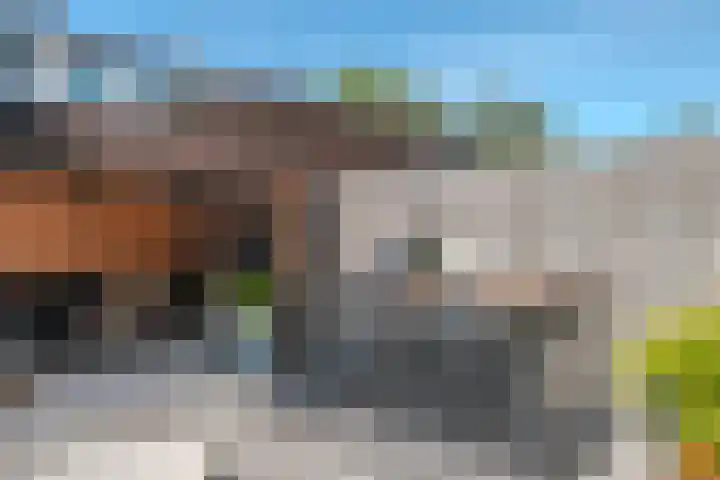 Heilooërdijk 53 Alkmaar thumbnail 36