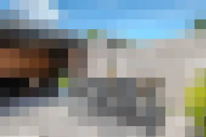 Heilooërdijk 53 Alkmaar thumbnail 39