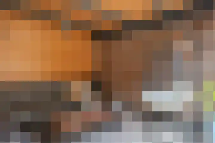 Heilooërdijk 53 Alkmaar thumbnail 41