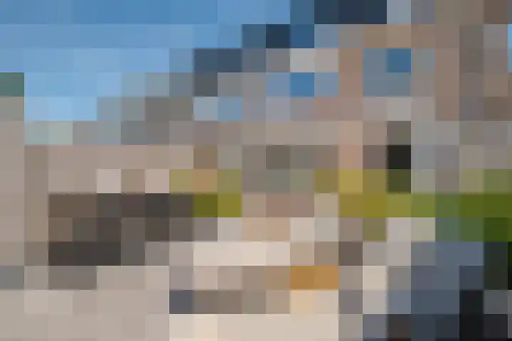 Heilooërdijk 53 Alkmaar thumbnail 42