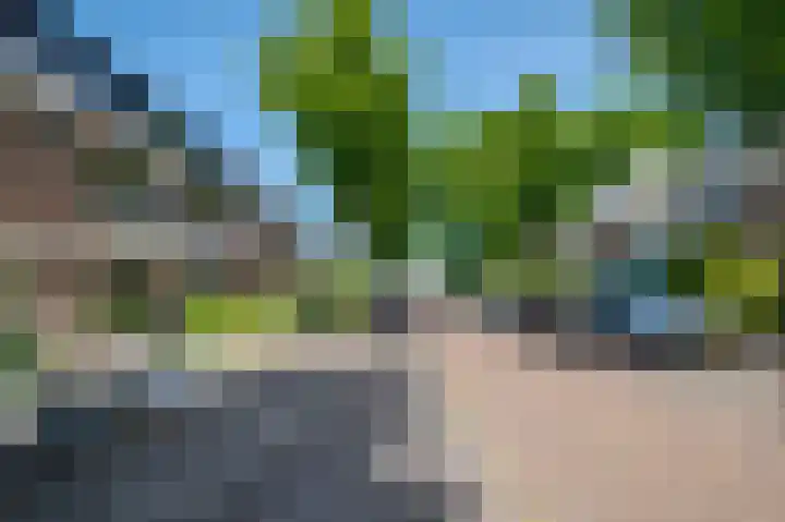 Heilooërdijk 53 Alkmaar thumbnail 48