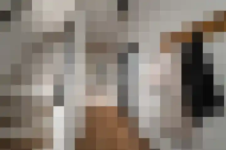 Heilooërdijk 53 Alkmaar thumbnail 7