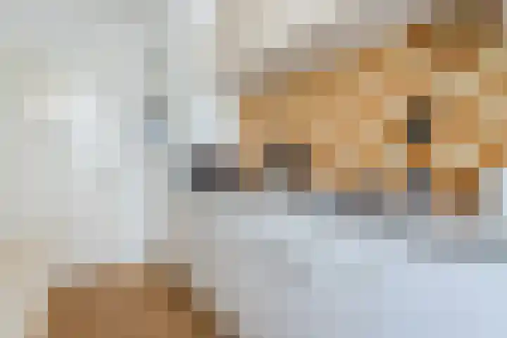 Heilooërdijk 7 Alkmaar thumbnail 14