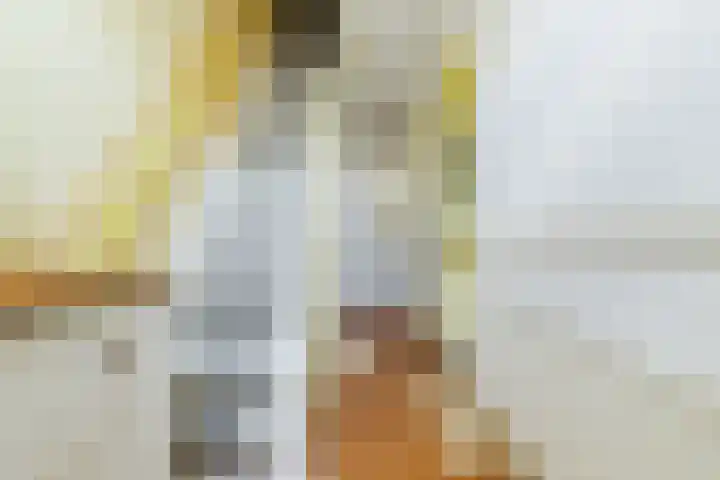 Heilooërdijk 7 Alkmaar thumbnail 15
