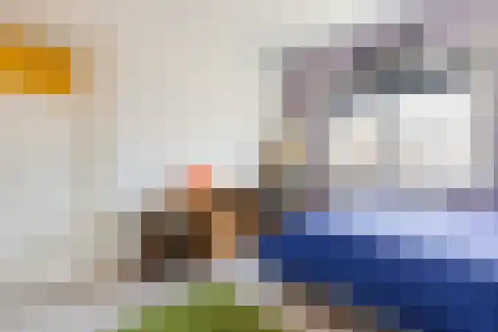 Heilooërdijk 7 Alkmaar thumbnail 18
