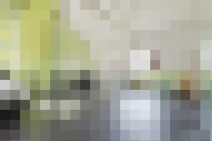 Heilooërdijk 7 Alkmaar thumbnail 31
