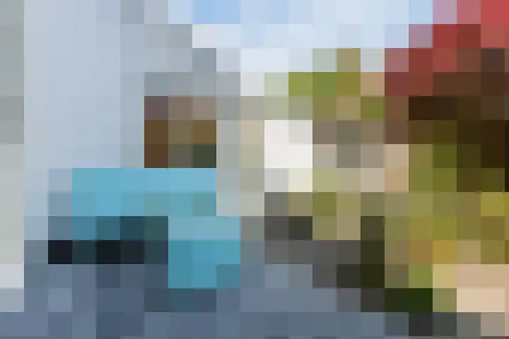Heilooërdijk 7 Alkmaar thumbnail 32