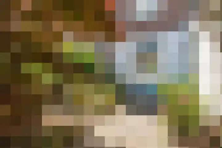 Heilooërdijk 7 Alkmaar thumbnail 35