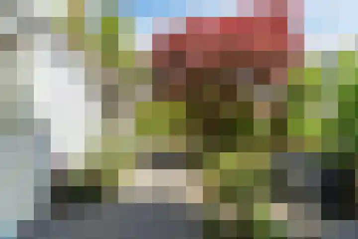 Heilooërdijk 7 Alkmaar thumbnail 36