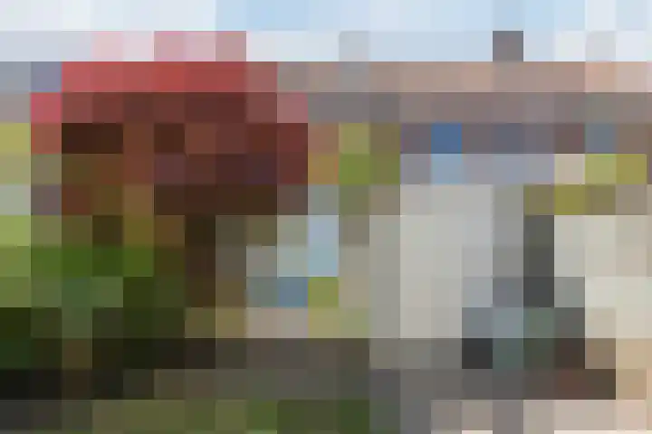 Heilooërdijk 7 Alkmaar thumbnail 40