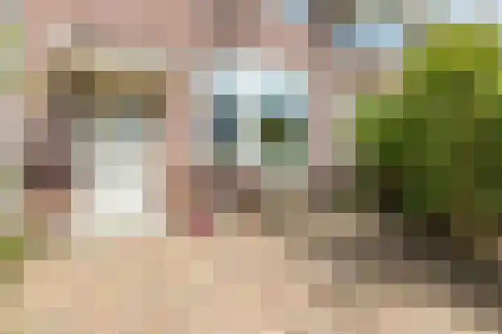 Heilooërdijk 7 Alkmaar thumbnail 6