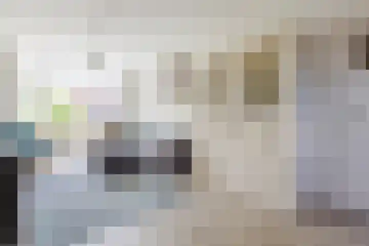 Heilooërdijk 7 Alkmaar thumbnail 7