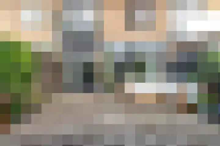Heilooërdijk 95 Alkmaar thumbnail 11